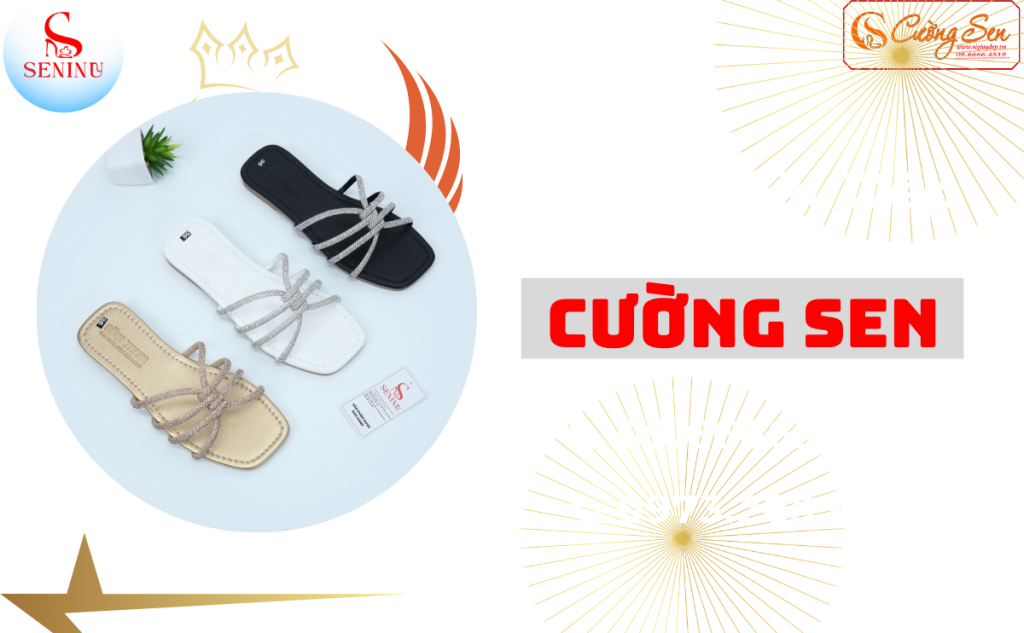 web seninu cau chuyen
